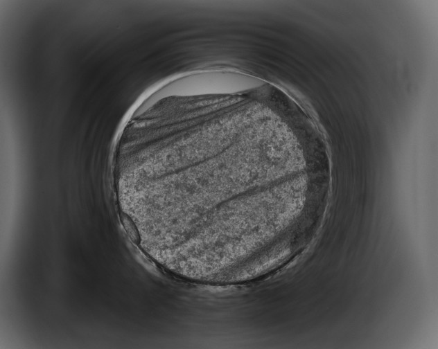 X0000084560816200703231757