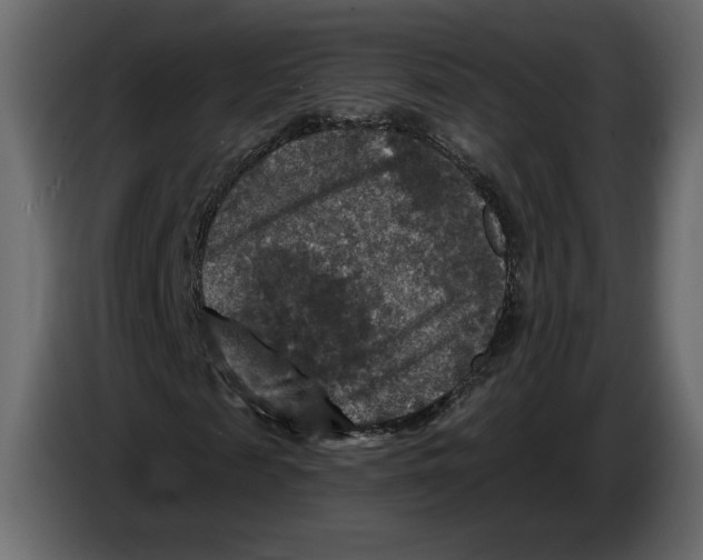 X0000084560817200703231756