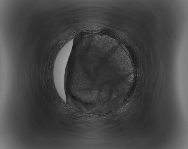 X0000084560818200703231756