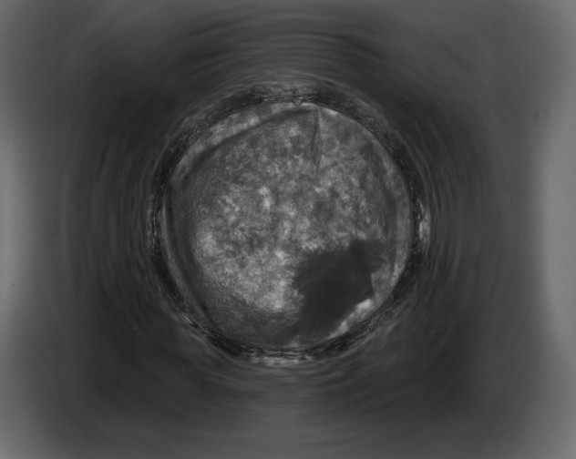 X0000084560819200703231756