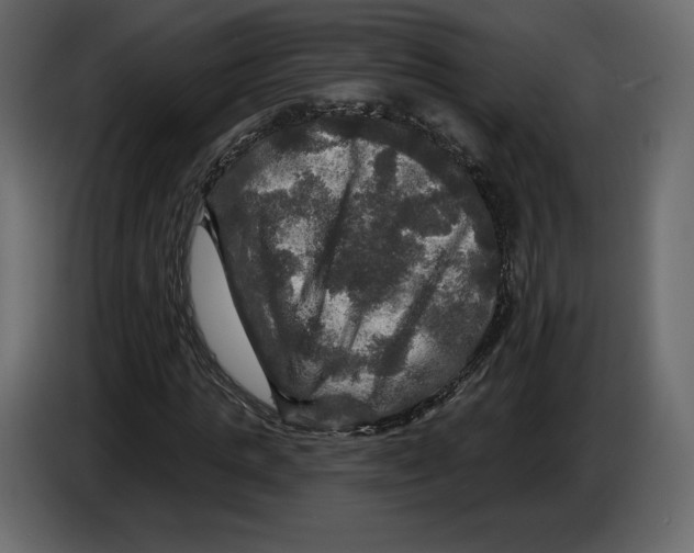 X0000084560821200703231756