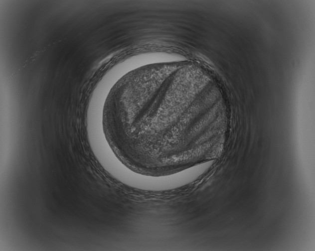 X0000084560822200703231756