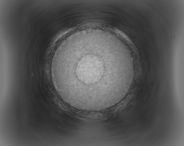 X0000084560824200703231756