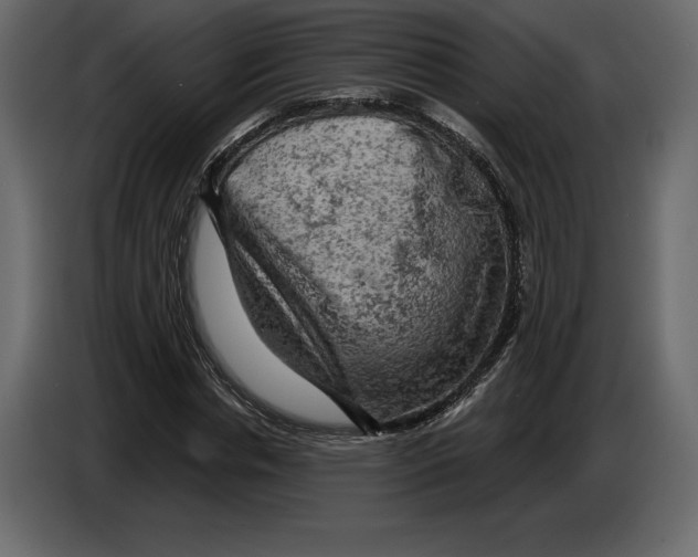 X0000084560826200703231756