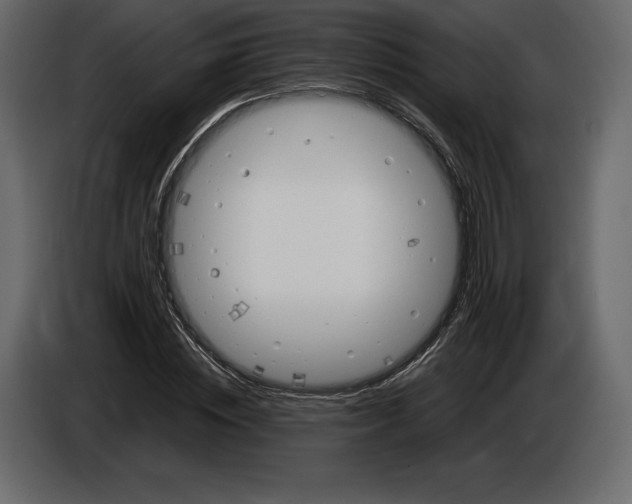 X0000084560828200703231756