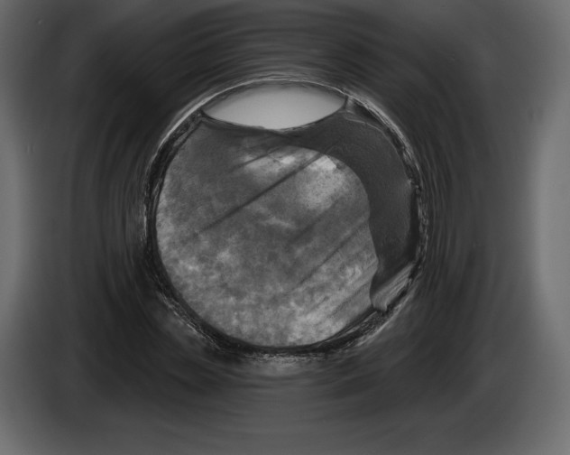 X0000084560829200703231756