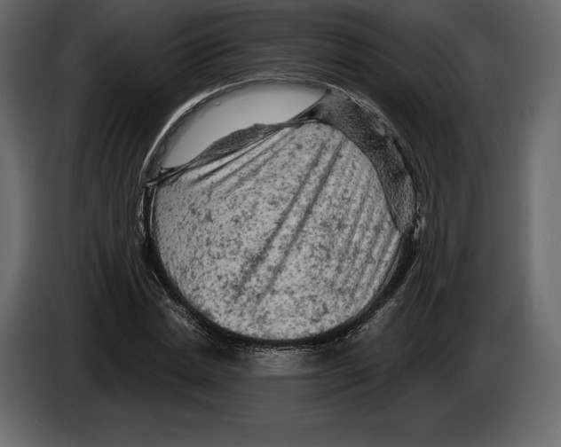 X0000084560830200703231756