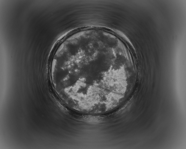 X0000084560831200703231756