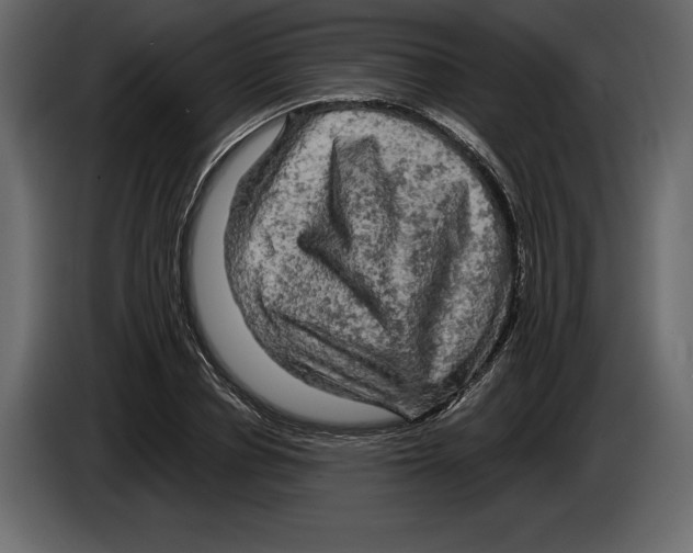 X0000084560834200703231757