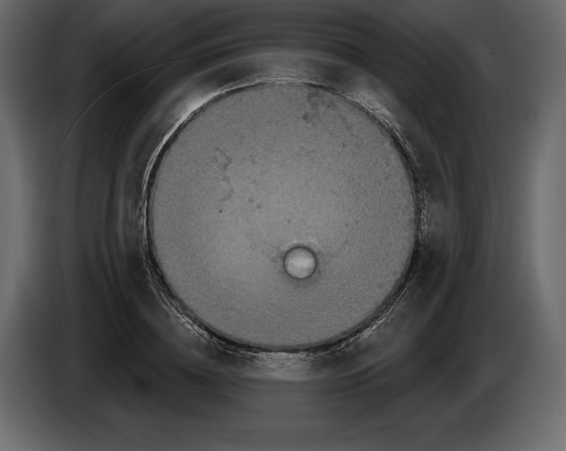 X0000084560836200703231757