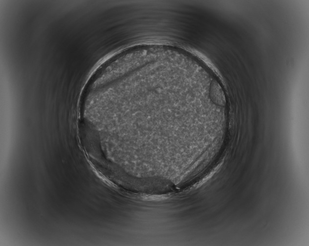 X0000084560837200703231757