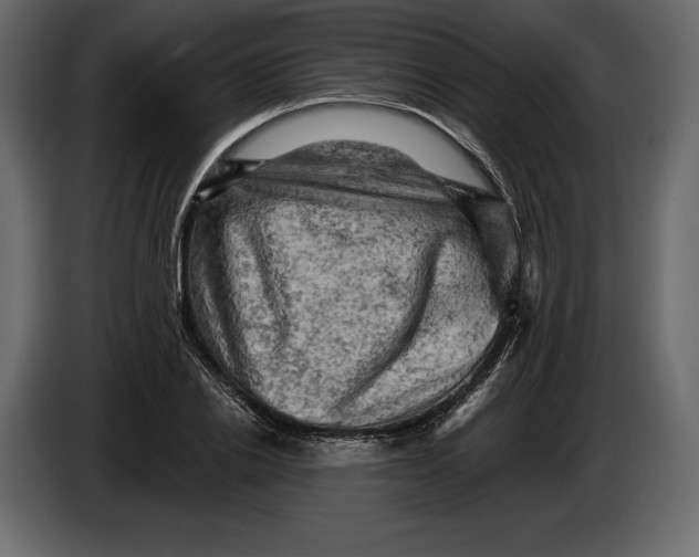 X0000084560838200703231757