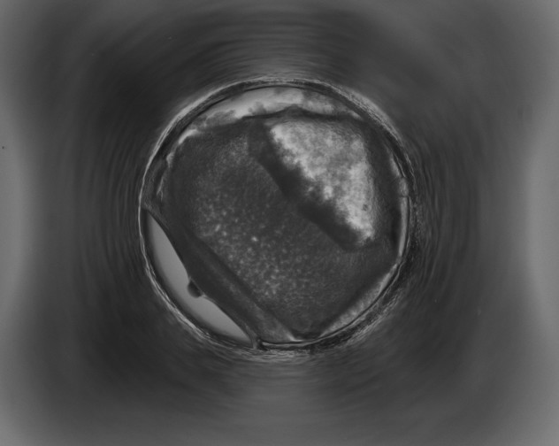 X0000084560839200703231757