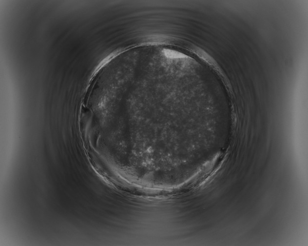 X0000084560842200703231757