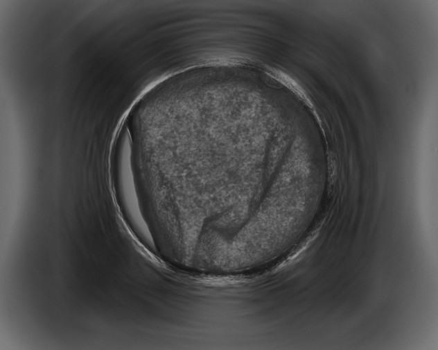 X0000084560843200703231757