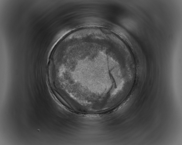 X0000084560844200703231757