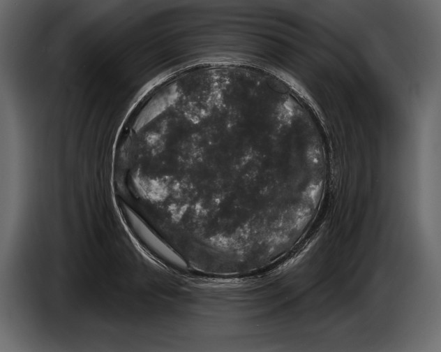 X0000084560845200703231757