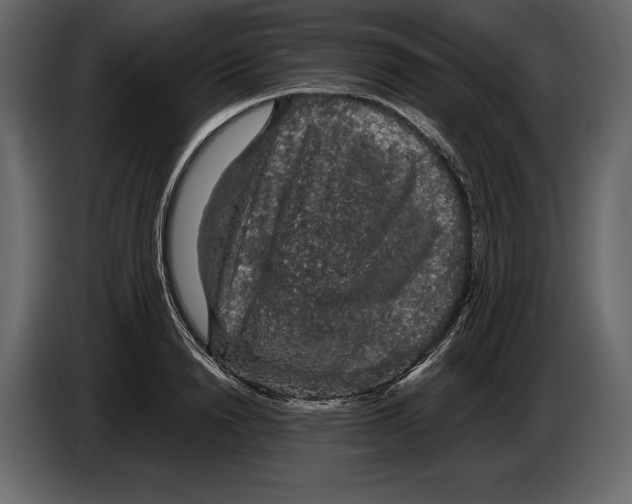 X0000084560846200703231757