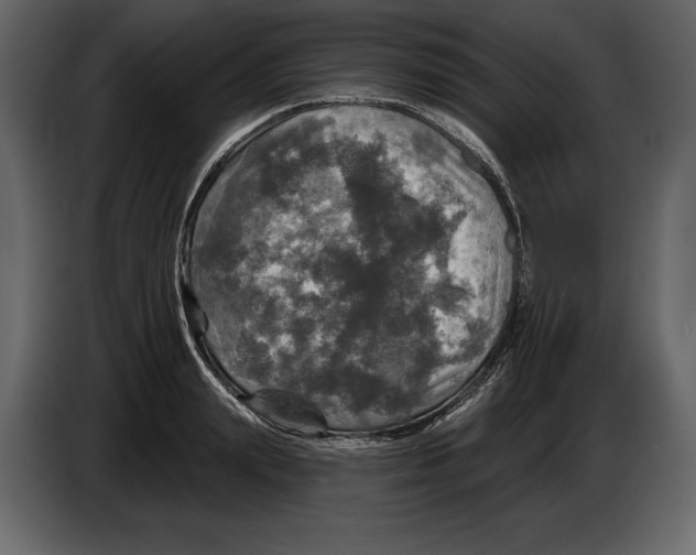 X0000084560847200703231757