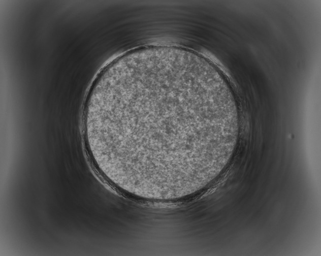 X0000084560848200703231757