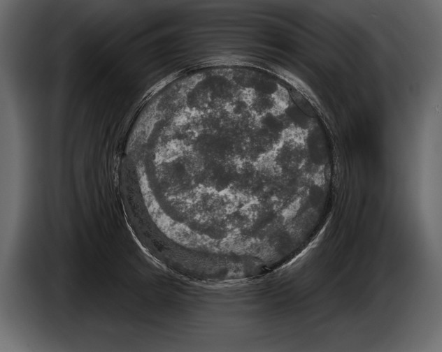 X0000084560849200703231757