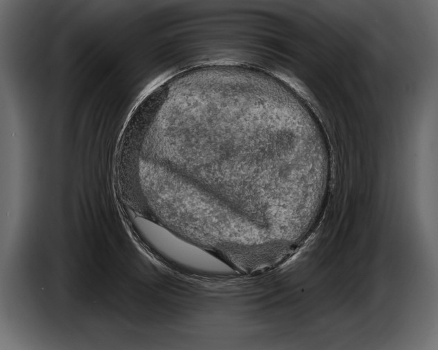 X0000084560850200703231757