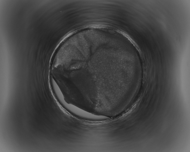 X0000084560853200703231757