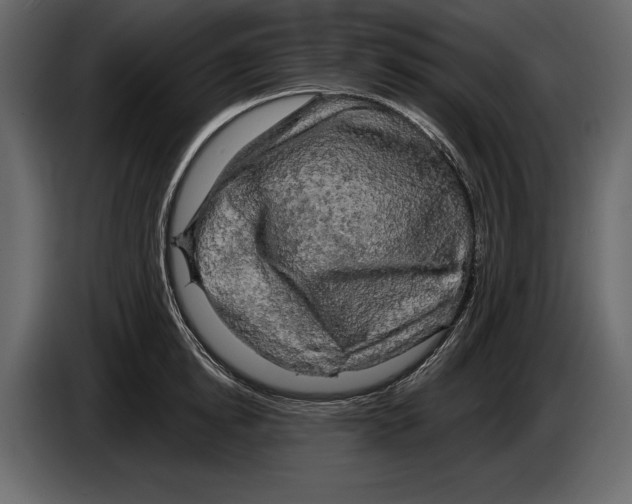 X0000084560854200703231757