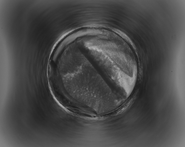 X0000084560855200703231757