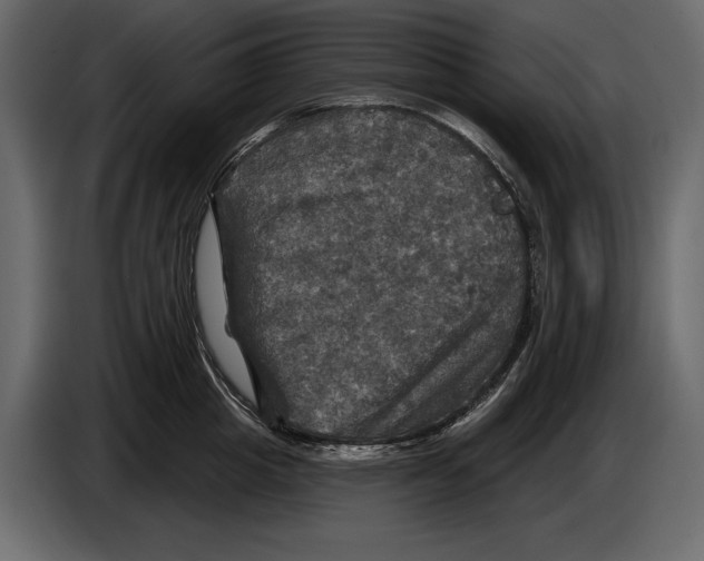 X0000084560857200703231757