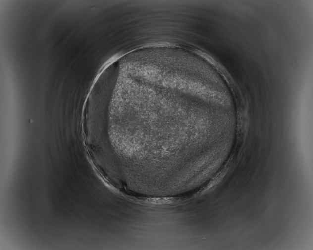 X0000084560858200703231757