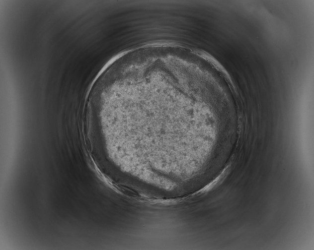 X0000084560860200703231757