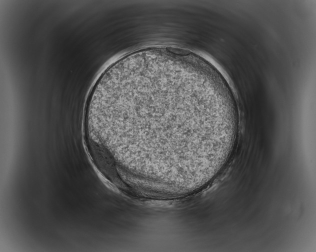 X0000084560861200703231757