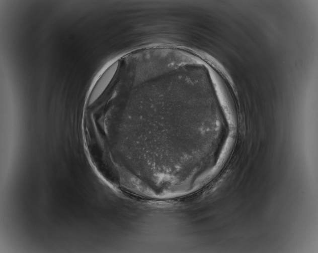 X0000084560863200703231757