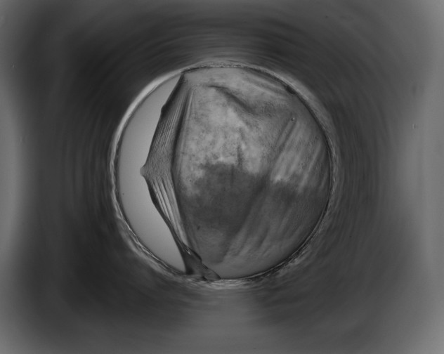 X0000084560864200703231757