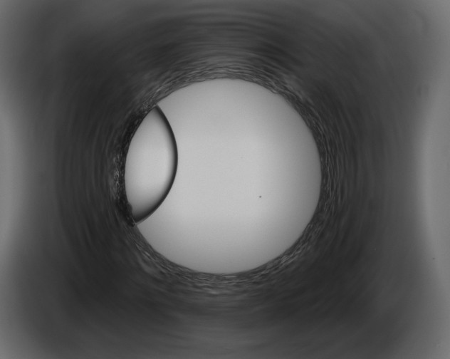 X0000084560868200703231756