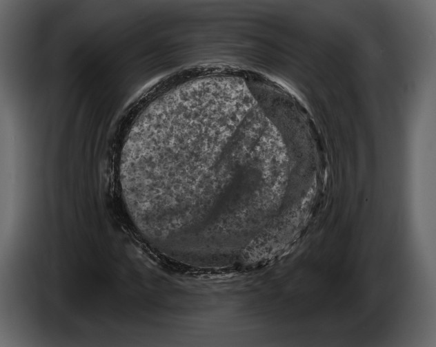 X0000084560872200703231756