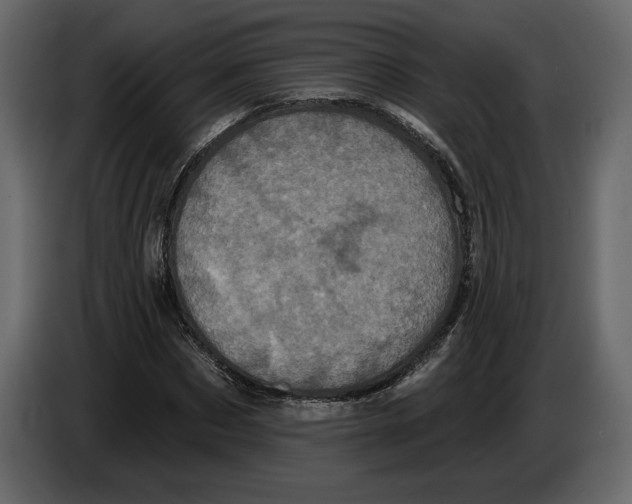 X0000084560873200703231756