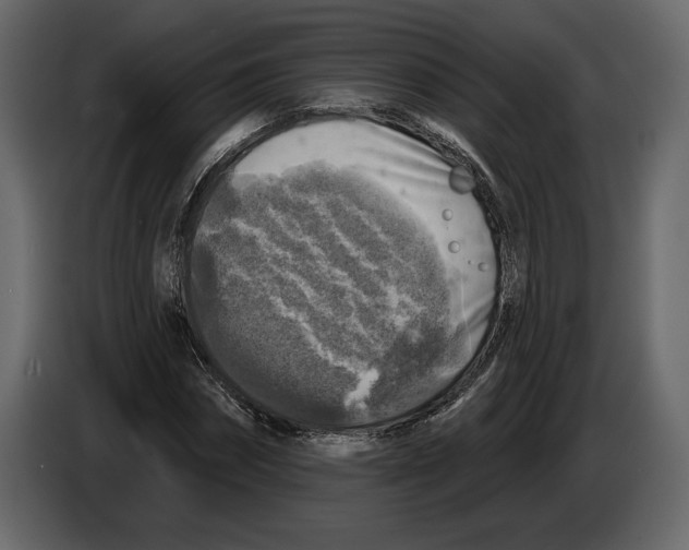 X0000084560874200703231756