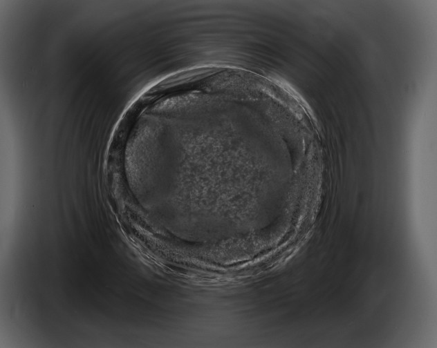 X0000084560876200703231756