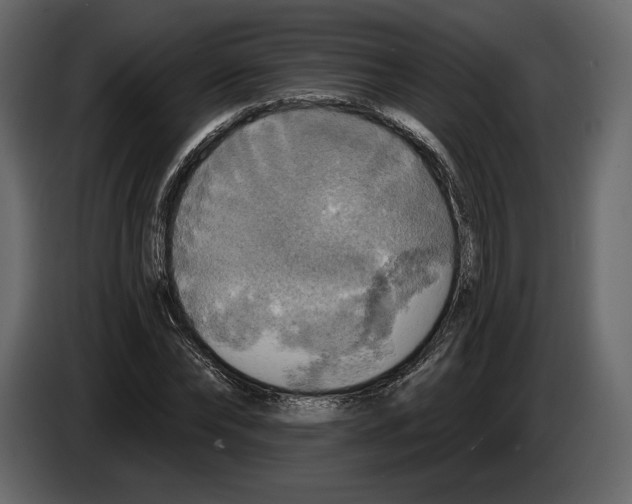 X0000084560878200703231756