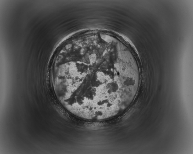 X0000084560879200703231756