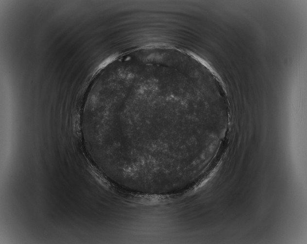 X0000084560881200703231756