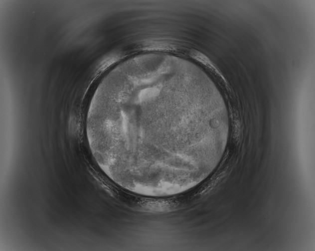 X0000084560882200703231756