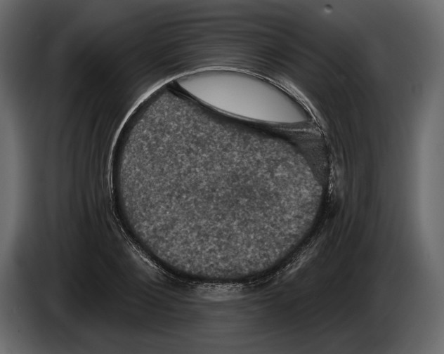 X0000084560884200703231756