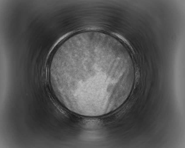 X0000084560886200703231756