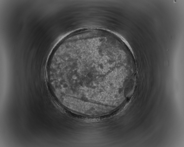 X0000084560887200703231756