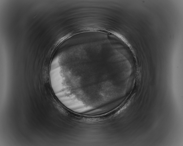 X0000084560889200703231756