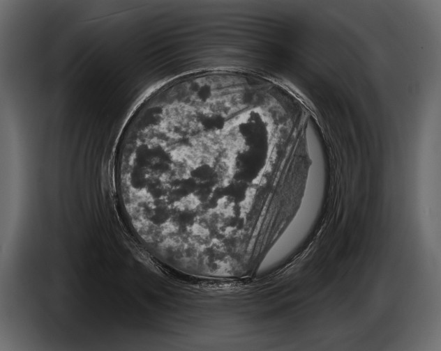 X0000084560891200703231756