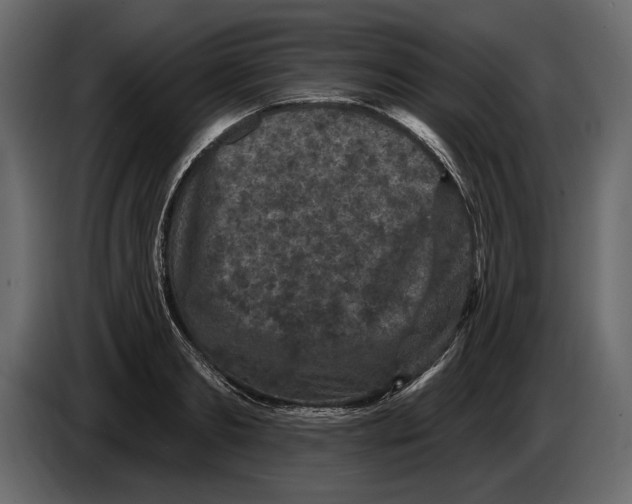 X0000084560893200703231756